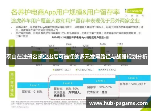 泰山在注册名额空出后可选择的多元发展路径与战略规划分析