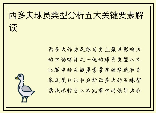 西多夫球员类型分析五大关键要素解读